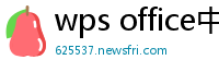 wps office中文版